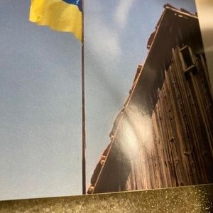 Meet your Posher, Sonya